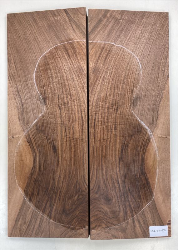 Boden & Zargen Nussbaum, europ., Archtop, EInzelstück #009